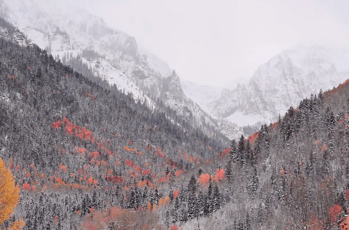 Snow-dusted mountain valley with red autumn trees