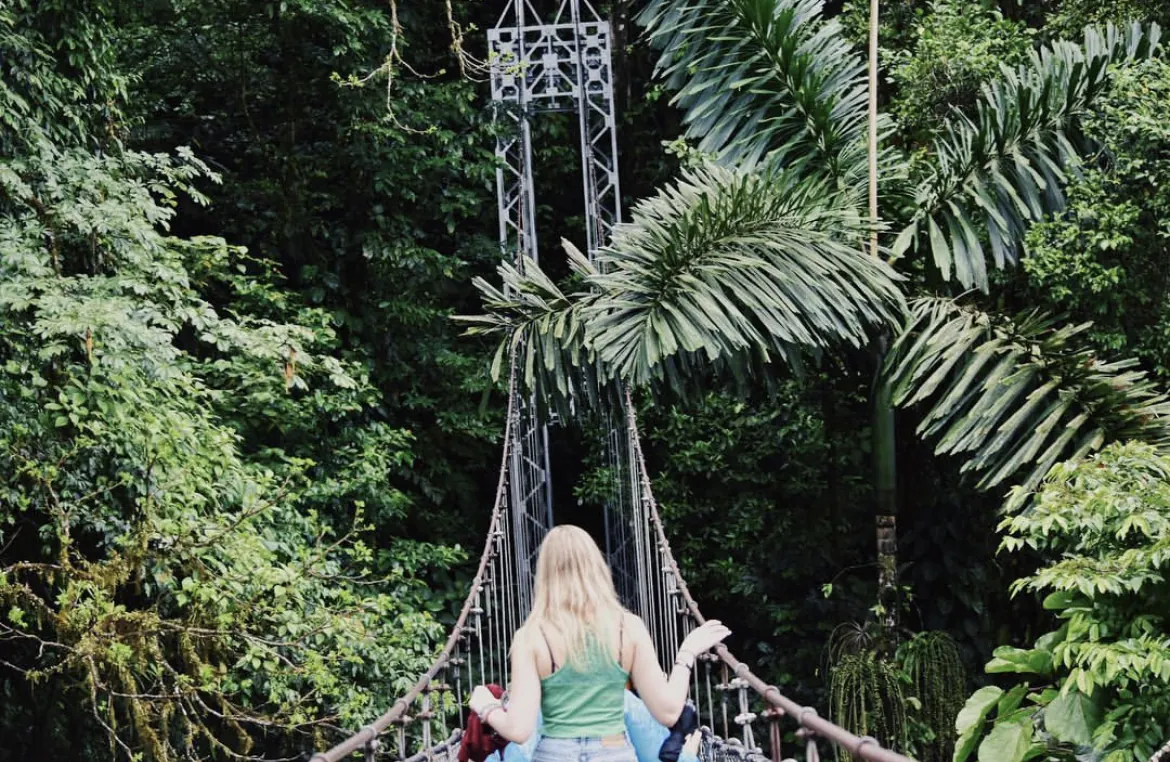 Person crossing a suspension bridge into the jungle